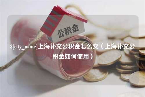 赣州上海补充公积金怎么交（上海补充公积金如何使用）